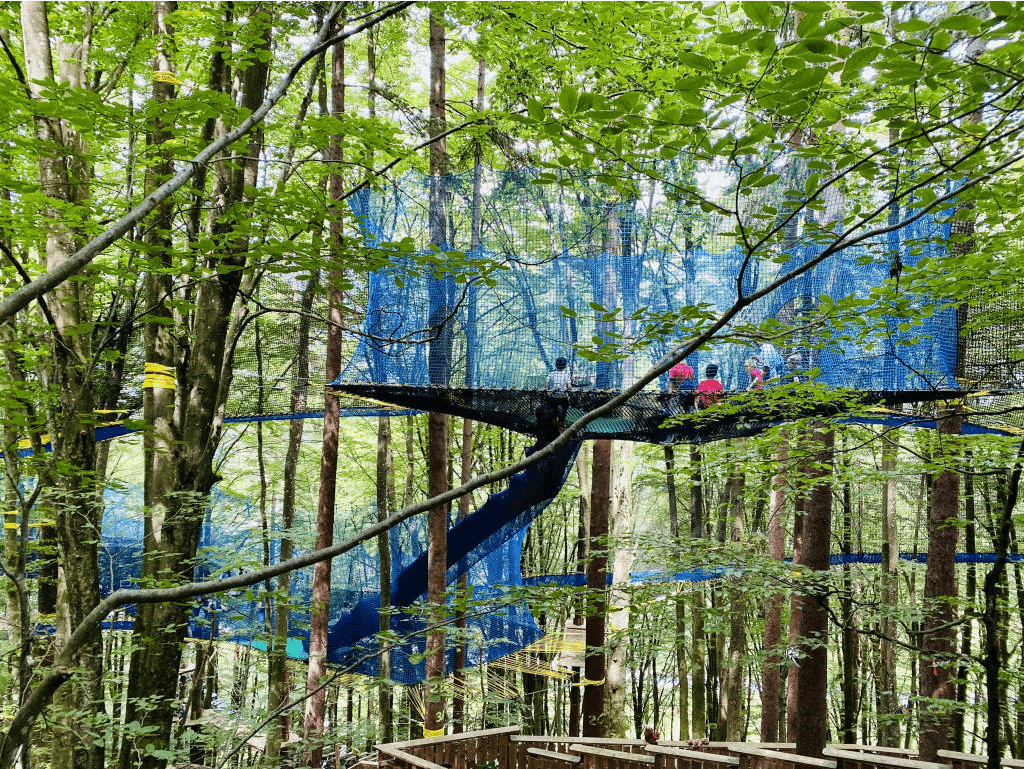 Familywald Ossiacher See Treenets